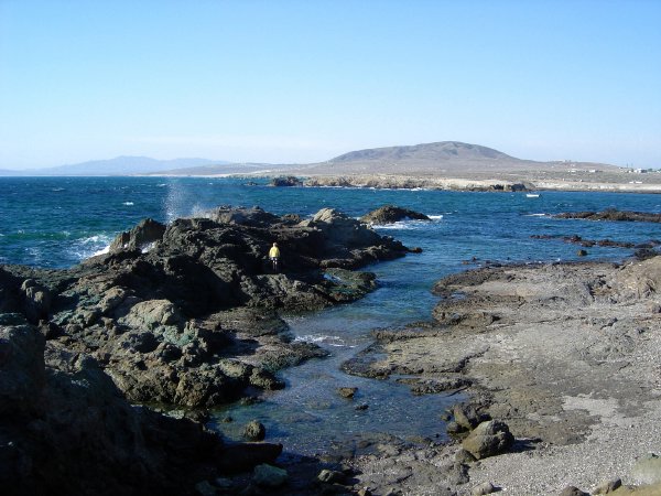 The swimming hole in Shari's backyard